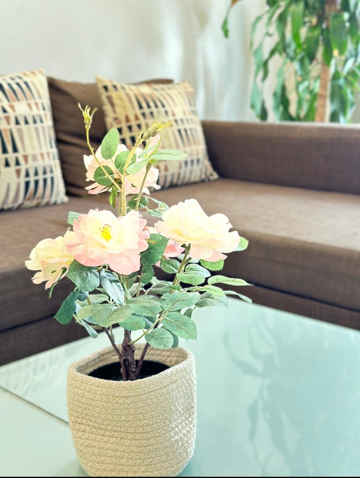 Appart Design, Plein Centre مارسيليا المظهر الخارجي الصورة